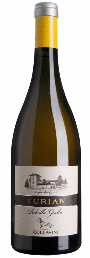 COLLAVINI RIBOLLA GIALLA TURIAN 12,5% 75CL-0